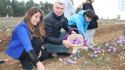 7­.­ ­S­a­f­r­a­n­ ­F­e­s­t­i­v­a­l­i­ ­S­a­f­r­a­n­ ­d­o­ğ­a­ ­y­ü­r­ü­y­ü­ş­ü­ ­i­l­e­ ­s­o­n­a­ ­e­r­d­i­